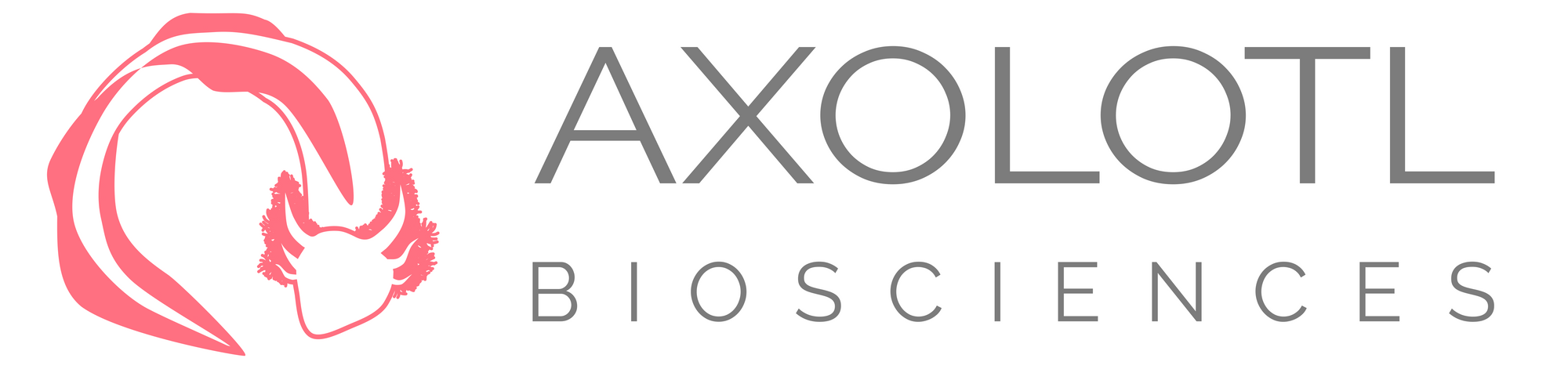 axolotl-01