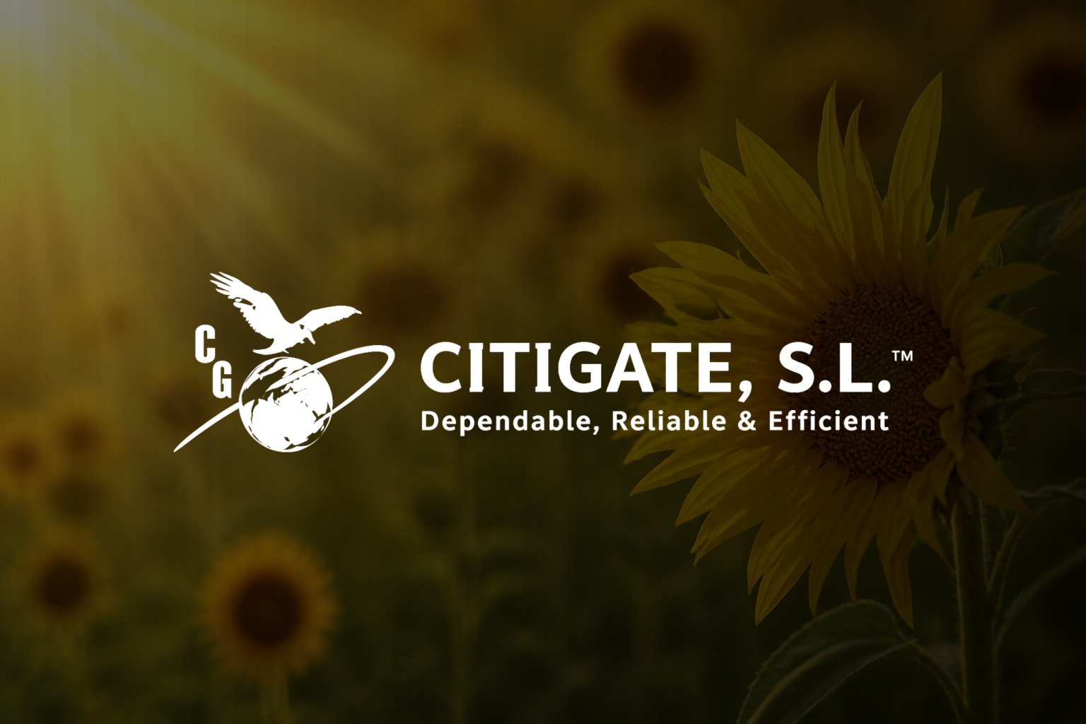 Citigate S.L. portfolio featured image