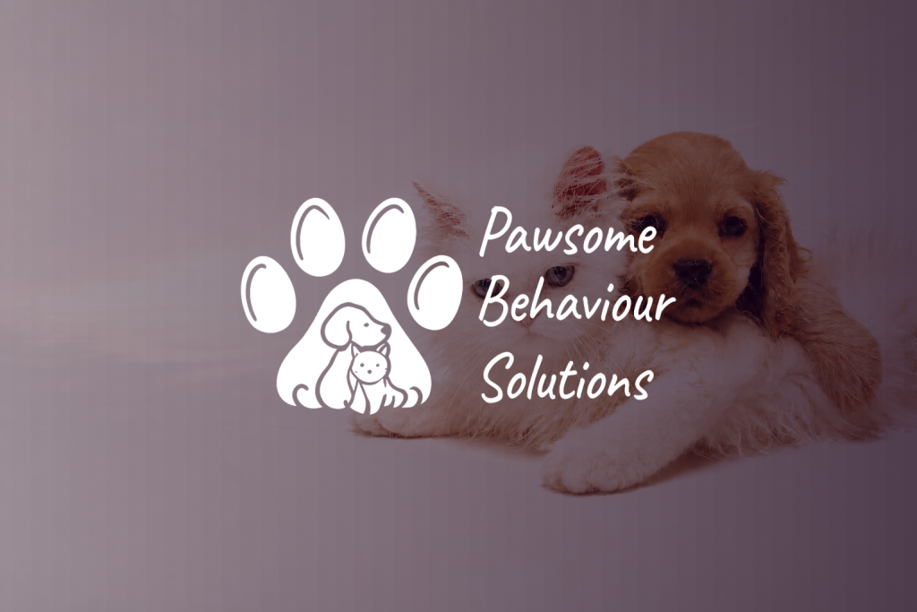 Pawsome Behaviour Solutions portfolio featured image